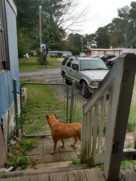 Forest Valley Mobile Home Park Picture 7