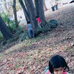 Mill Mobile Home Community