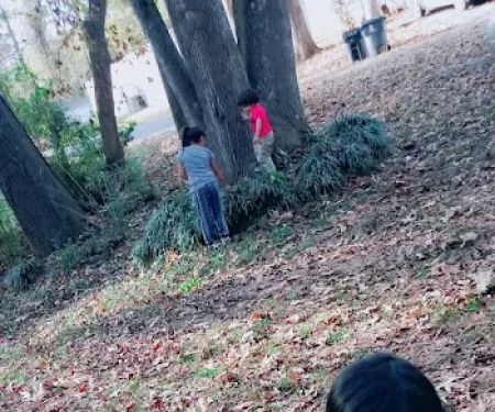 Mill Mobile Home Community