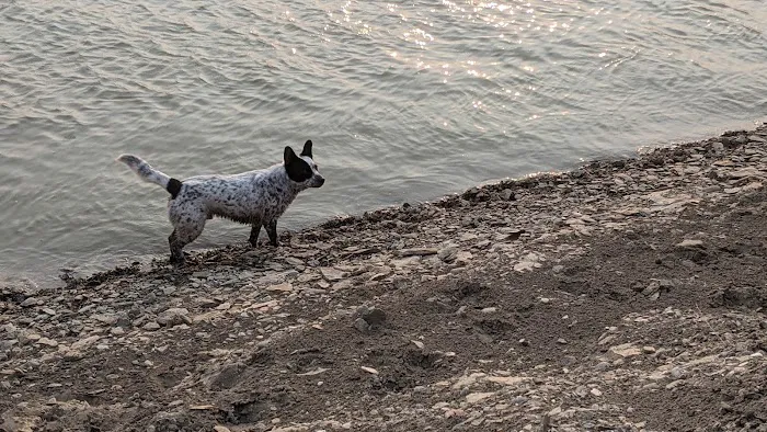 Cottonwood Creek Campground Picture 7