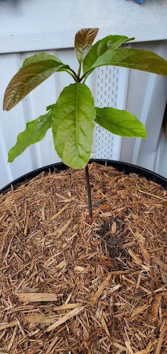 Twin Oaks mobile Home Park Picture 1