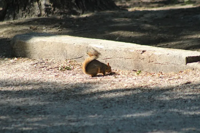Lovell Camper Park Picture 1