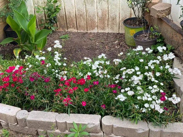 El Bosque Mobile Home Community Picture 1