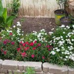 El Bosque Mobile Home Community