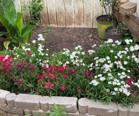 El Bosque Mobile Home Community