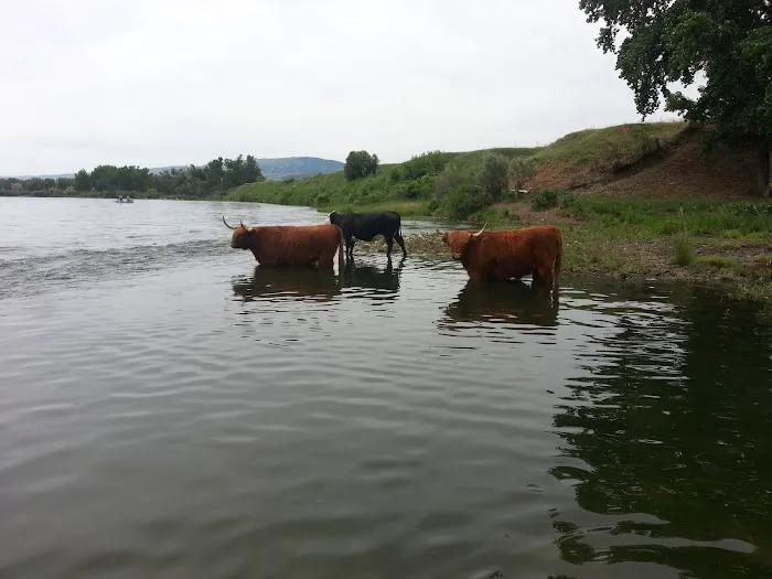 Afterbay South Campground Picture 5