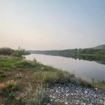 Grapevine Campground