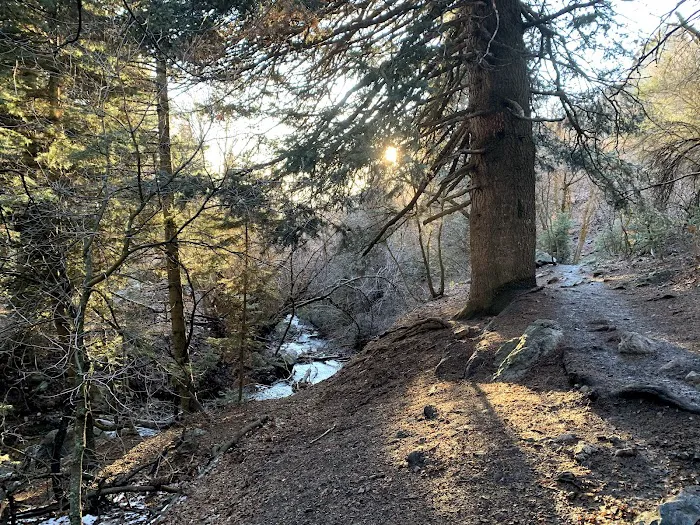Adams Canyon Bridge Campground Picture 8