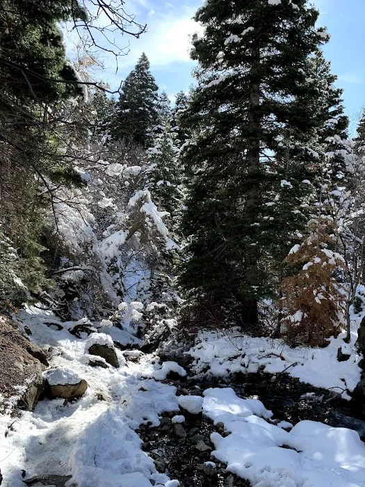 Adams Canyon Bridge Campground Picture 3