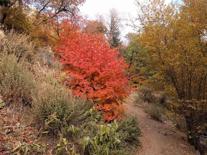 Adams Canyon Bridge Campground Picture 6