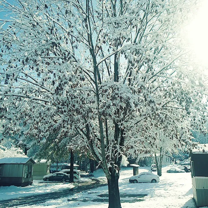 Trailwood Mobile Home Park Picture 3