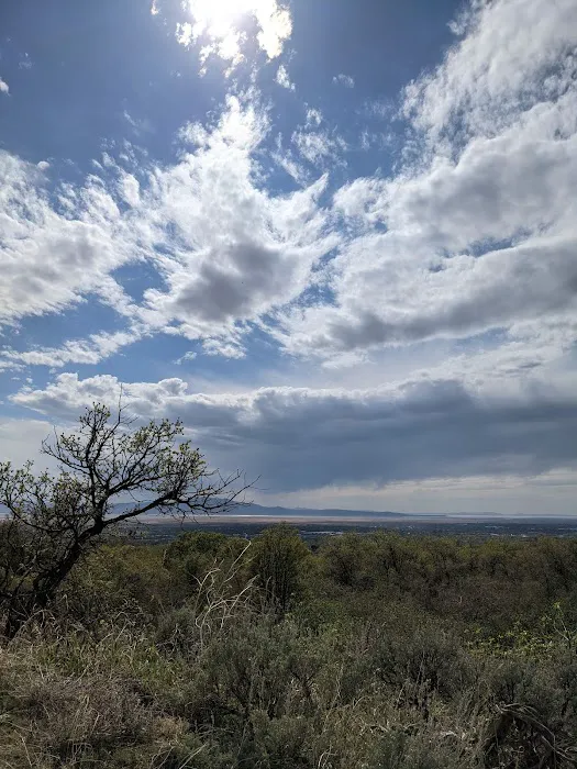 Roundy Campground Picture 1