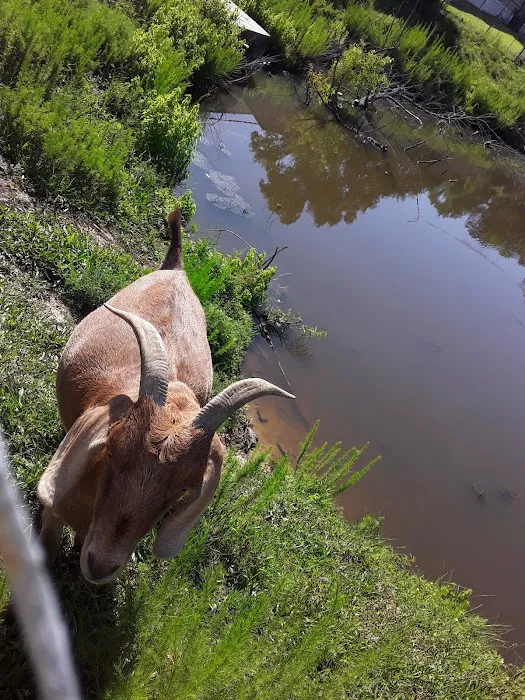 Green Acres Mobile Home Ests Picture 2