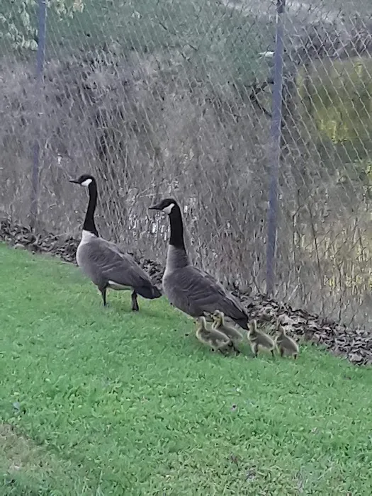 Green Acres Mobile Home Ests Picture 5