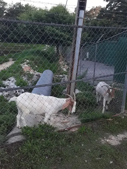 Green Acres Mobile Home Ests Picture 6