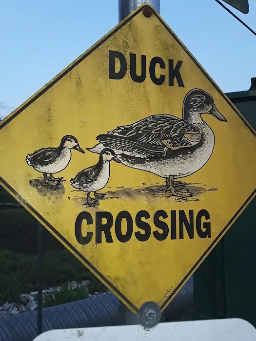 Green Acres Mobile Home Ests Picture 1