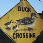 Green Acres Mobile Home Ests