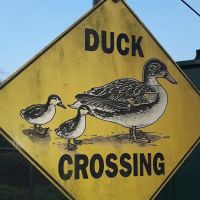 Green Acres Mobile Home Ests ico