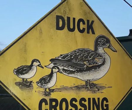 Green Acres Mobile Home Ests