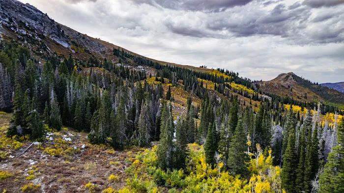 Bountiful Peak Campground Picture 6