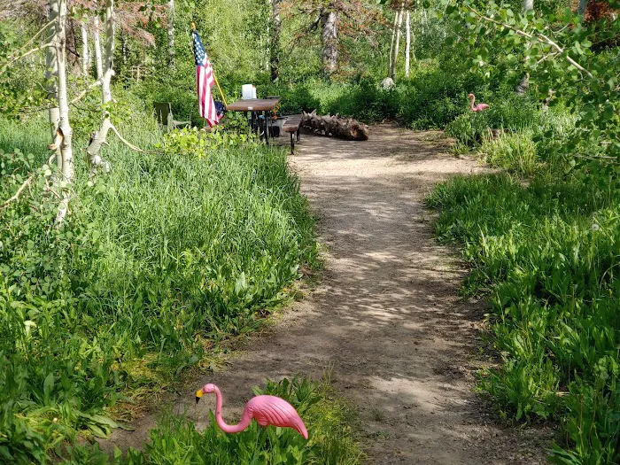 Bountiful Peak Campground Picture 3