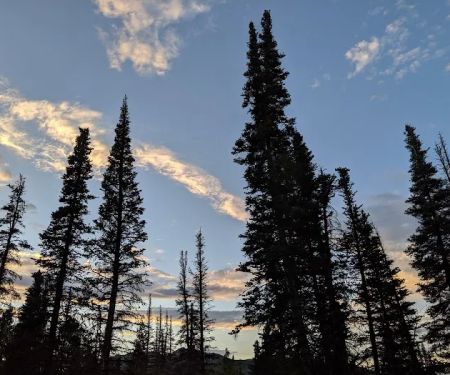 Bountiful Peak Campground