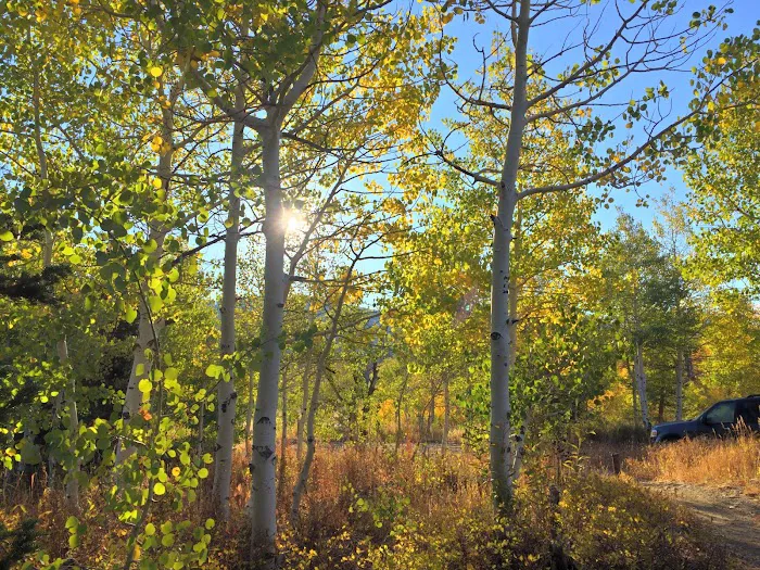 Bountiful Peak Campground Picture 7