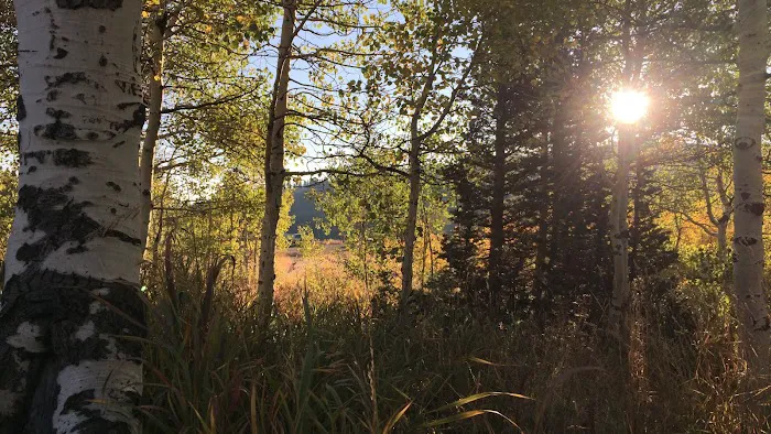 Bountiful Peak Campground Picture 10