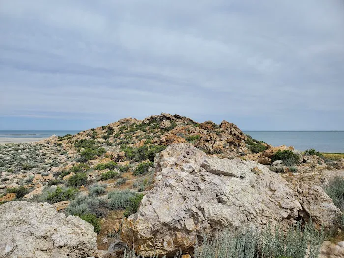 Ladyfinger Campground Picture 2