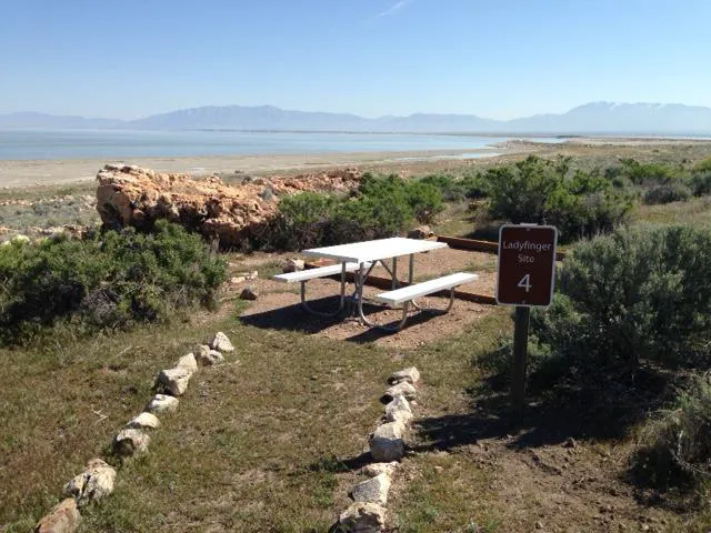 Ladyfinger Campground Picture 3