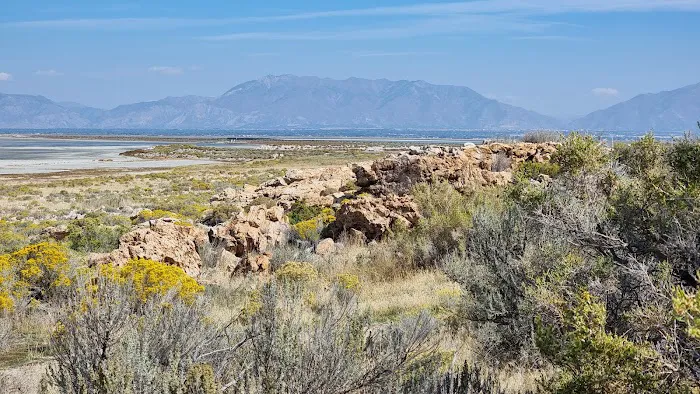 Ladyfinger Campground Picture 1