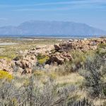 Ladyfinger Campground