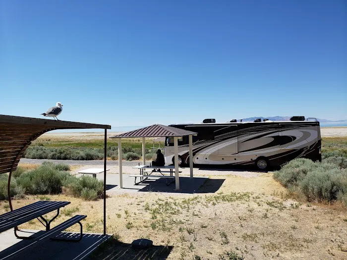 Antelope Island Campground Picture 2