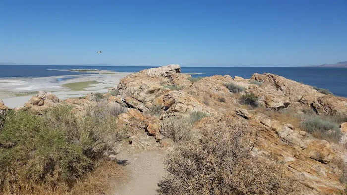 Antelope Island Campground Picture 8