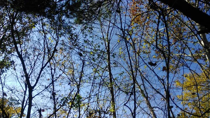 Arbor Mill Mobile Home Park Picture 2