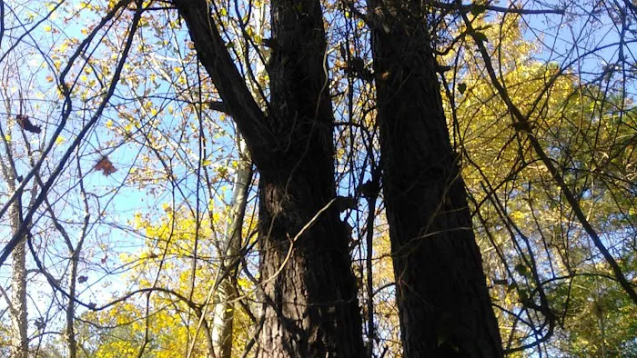 Arbor Mill Mobile Home Park Picture 6