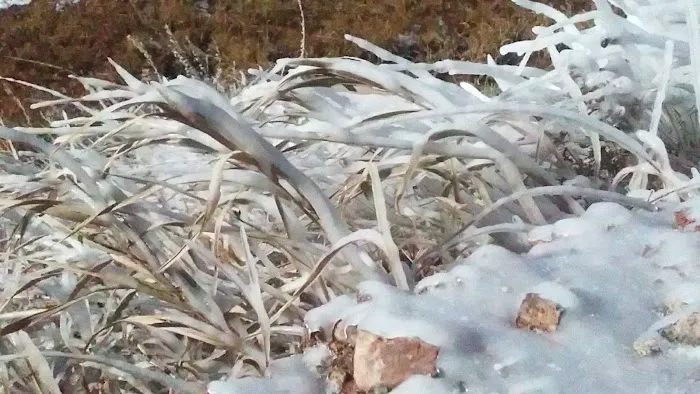 Five Springs Falls Campground Picture 6