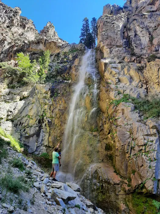 Five Springs Falls Campground Picture 1