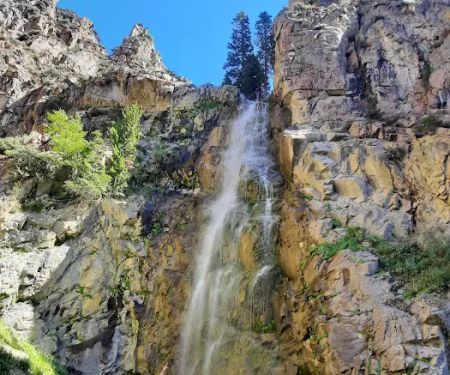 Five Springs Falls Campground