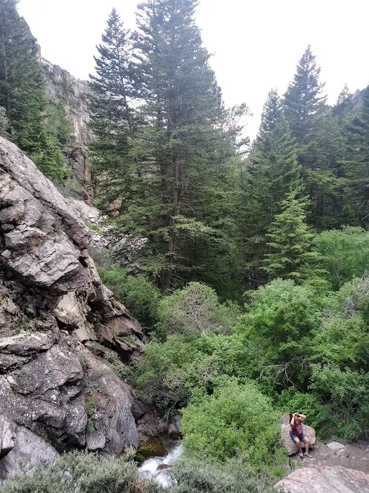 Five Springs Falls Campground Picture 7