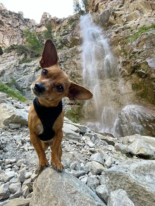 Five Springs Falls Campground Picture 5