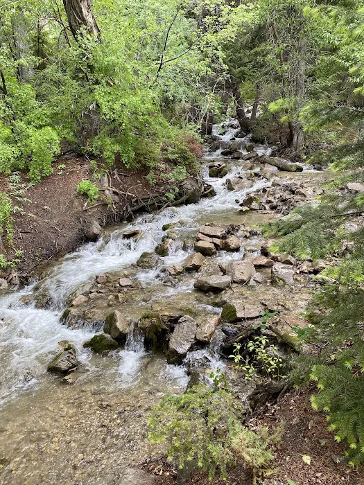 Five Springs Falls Campground Picture 10