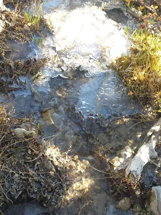 Five Springs Falls Campground Picture 9