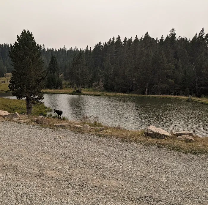 Porcupine Campground Picture 8