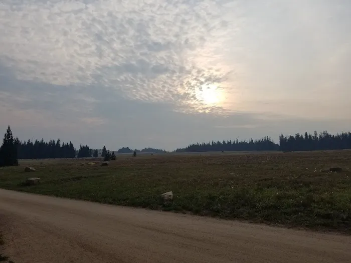 Bald Mountain Campground Picture 6