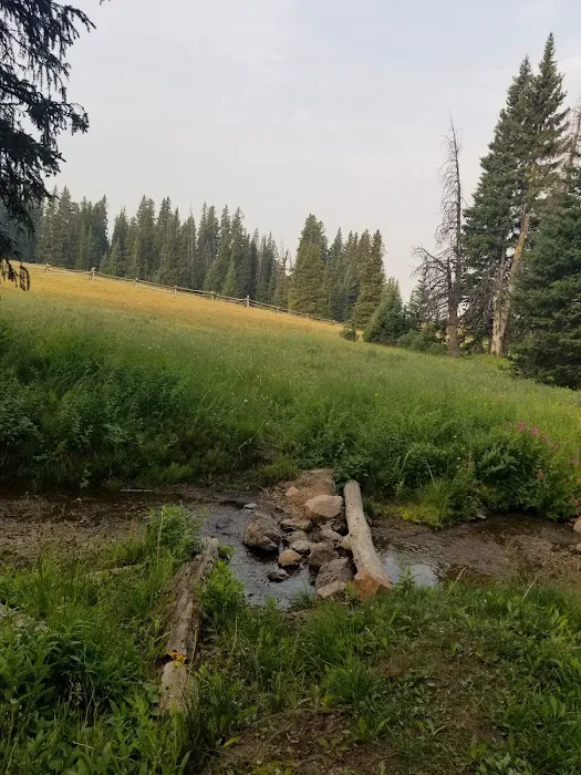 Bald Mountain Campground Picture 4