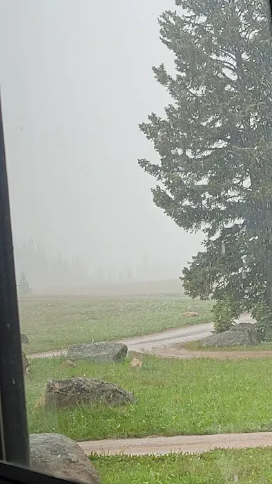 Bald Mountain Campground Picture 2