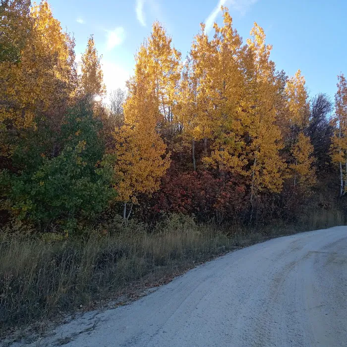 Buckland Flats Campground Picture 10