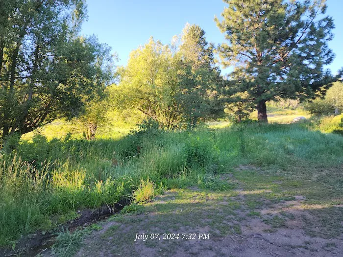 Buckland Flats Campground Picture 9