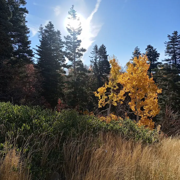 Buckland Flats Campground Picture 3